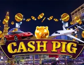 Cash Pig